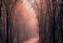 不走运,客场对阵曼联2次被进点球+吃到红牌,皇家社会是西甲首队.