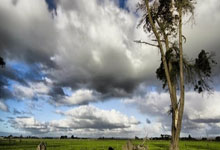 世预赛阿根廷VS巴西前瞻:罗梅罗坐镇,切尔西核心领衔中场,曼城旧将冲锋.