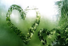 国足战沙特进入冲刺 伊万提醒国脚谨防对手即兴发挥.