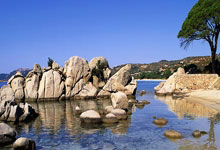 C罗的曼联队友,解说又被打脸!鲁尼:我喜欢吃鱼,但害怕大鱼.